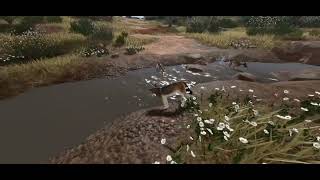 I was just telling you waiting for my pack to move so we can find peccarys
