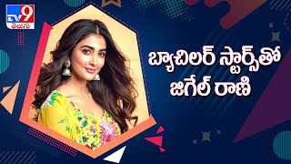 Will Pooja Hegde bring luck to star bachelors? - TV9