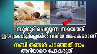 സുജൂദ് ചെയ്യുമ്പോൾ നബി തങ്ങൾ പറഞ്ഞ ഇത് ശ്രദ്ധിച്ചില്ലെങ്കിൽ വലിയ അപകടമാണ്||ISLAMIC TECH ONLINE||