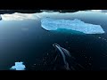 Greenland Drone 4k   4K