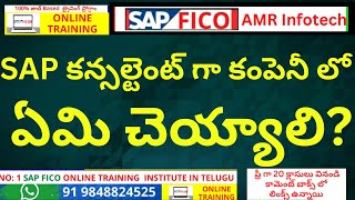 SAP కన్సల్టెంట్ గా కంపెనీ లో Job ఏమి చెయ్యాలి? SAP Consultant Job Role \u0026 Responsibilities Telugu