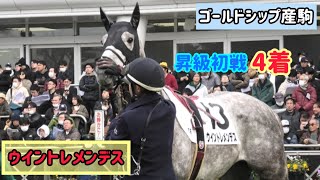 【ゴールドシップ産駒】5ヶ月ぶりの出走❗️相変わらずなでなで可愛がられてるウイントレメンデス