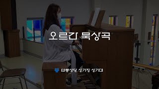 [태릉성당] 오르간 묵상곡 - 천주의 성모 마리아 대축일 (세계 평화의 날)