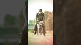 #tacticalshooter #dog #dogs #k9 #foryou #usa #tacticalk9 #shorts #short #belgian