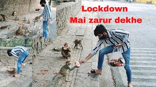monkey feeding watermelon bananas bread ❤️🙏 jai hanuman ji❤️