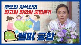 ★부모와 자식간의 띠별궁합★ 뱀띠부모는 무슨띠 자식을 낳으면 호강할까?