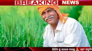 pm kisan 19th installment payment date fixed || pm kisan 19th installment date 2025