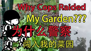 Why Police Raided My Garden?为什么我的菜园招来了警察？#Shorts