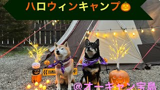 2024ハロウィンキャンプ🎃