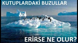 Dünyadaki Bütün Buzullar Erirse Ne Olur?