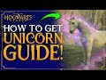 Hogwarts Legacy - How To Get UNICORN - How To Tame / Catch Unicorns - Unicorn Den Location Guide