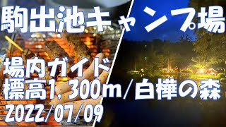 駒出池キャンプ場 場内ガイド 初心者 オートサイト フリーサイト バンガロー コテージ テント ソロ ギア キャンプ飯 ファミリー 標高1,300ｍの白樺 長野県 2022/7/9【GoPro】