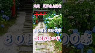 夏が来る🎐🌺🍀その前に８０種２０００本のあじさいまつり【鷲子山上神社】