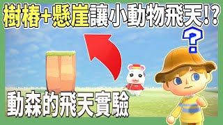 【檢驗】小動物的飛天實驗｜永遠不要小看動物們的屁股