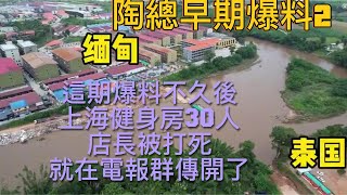 陶總早期爆料 2    這一期爆料後    沒過一兩天    電報群裡就瘋傳     上海健身房30號人免費泰國旅遊被綁架到園區     店長遇害      |   Reaction Video