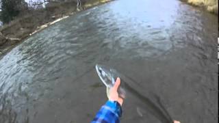 trout release