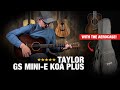 Taylor GS Mini Koa Plus - Compared to GS Mini Koa Standard