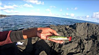 Mamsa Hunting! Kahit saan susubukan basta maka STRIKES lang! l Day 01 l Giant Trevally