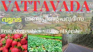 Vattavada Trip| Fruit Vegetables village of kerala| Idukki hill station |EP 2