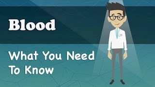 Blood - What You Need To Know