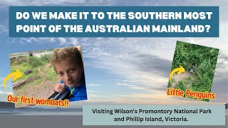 Wilson's Promontory National Park and Phillip Island: Wombats, birds galore, and more 10K step days!