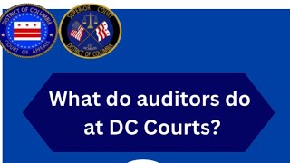 What do auditors do at DC Courts?