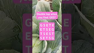 Observation Visual Test: 5 Seconds ForYou To Spot GEST. Try Your Skills! #search #puzzle #shorts