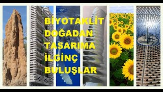 Biyotaklit; Doğadan İlham Alınarak Yapılan 14 Buluş