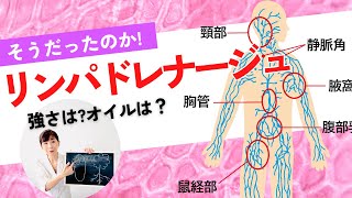 気づいてよかった！【リンパドレナージュ】他のマッサージとの違いまとめ