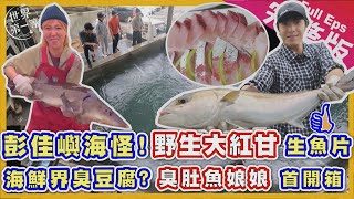 【台灣】唐振剛 李懿｜巴掌大馬蹄蛤/巨物紅甘海釣場 巨型白鯧鱘龍魚/鄒族家屋製酒/古法揚波草漁獵 砍製竹杯 /鄒族晚餐/小神童越野機車 《世界第一等》野FUN西海岸 1100集完整版 Full EP