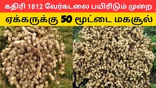 கதிரி 1812 வேர்க்கடலை சாகுபடி முறை A to Z | Peanut | groundnut harvester machine |kadiri 1812