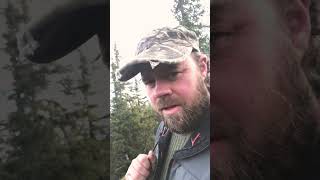 #fuglejakt #jakt #hunting #fypシ゚viral #fypyoutube