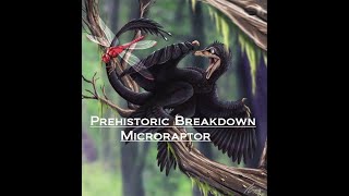 Prehistoric Breakdown: Microraptor