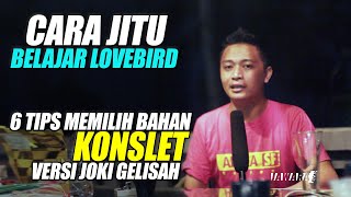 BELAJAR LOVEBIRD#1 : 6 TIPS MEMAHAMI LOVEBIRD BAHAN MENUJU KONSLET VERSI JOKI GELISAH