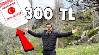 I BOUGHT A FIELD FOR 300 TL! HOW??? free land