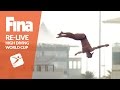 RE-LIVE | FINA High Diving World Cup 2017 | Day 2 - Part 2/2