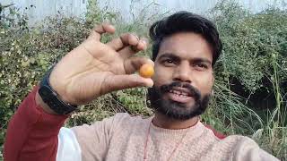 आज अंगोरा के जंगल में मुझे यह क्या मिला  || My first vlog 2025 #aggroup