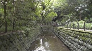 東京・世田谷区　等々力渓谷　2012年　Todoroki Valley in Setagaya, Tokyo