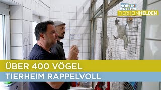 Trauriger Boom im Vogelhaus des Tierheims Stuttgart 🦜 | Martin Rütters Tierheimhelden