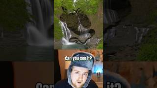 Can you see the hidden picture? [54]