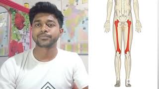 longest and smallest bone in human body//মানবদেহের সবথেকে বড় হাড়ের অবস্থান//