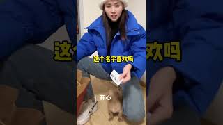 捡来的小土狗知道自己有名字之后，高兴的叼着名字在房间到处转#中华田园犬#狗 #撿到一隻狗 #二郎神