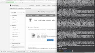 Setting up Ionic Push on iOS