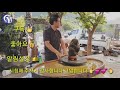 보석보다 아름다운 최고의 수석 경매 ep.20 수석경매장 수석고르는법 수석가격