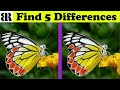 Find The Difference | Spot 5 Differences | Very Hard - Only Geniuses Find ALL | 10 Rounds| Butterfly