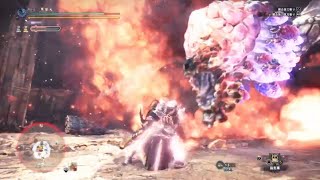 モンスターハンターワールド：アイスボーン　MHW IB 紅蓮滾るバゼルギウスの空爆から突攻に