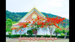 ផ្កាក្ងោកនៅខេត្តកែបរីកស្រស់បំព្រងបង្អួតភ្ញៀវទេសចរ