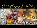 5 Winter Tips For All Birds | Budgies,Lovebirds winter care | Mujeeb Birds Breeding