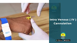 IV Cannula | insertion of IV cannula | cannula insertion technique for nursing and medical students