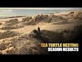 Sea Turtle Nesting Season Results